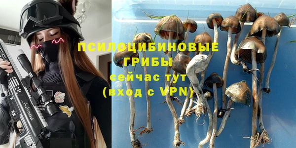 спиды Покров