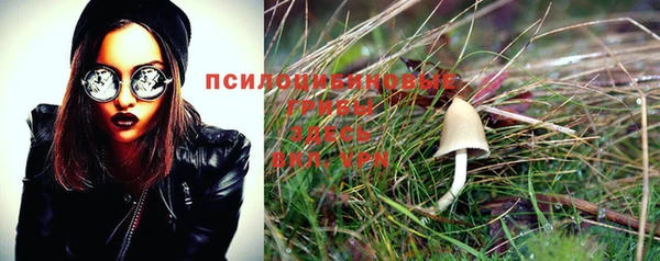 мескалин Покачи