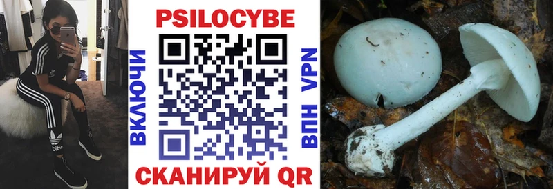 Галлюциногенные грибы Cubensis  Купить где  Саров 